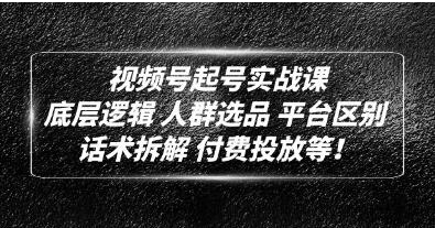 底层逻辑《视频号起号实战课》话术拆解，付费投放网赚项目-副业赚钱-互联网创业-资源整合下载耶