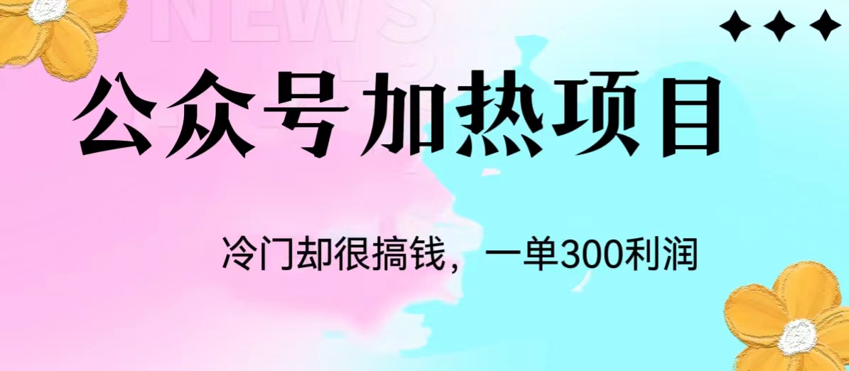 冷门公众号加热项目，每天1-2小时，一单100-300+网赚项目-副业赚钱-互联网创业-资源整合下载耶