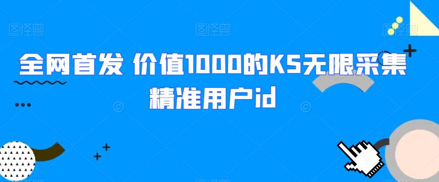 全网首发 价值1000的KS无限采集精准用户id网赚项目-副业赚钱-互联网创业-资源整合下载耶